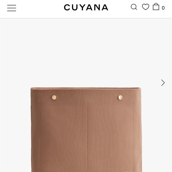 Cuyana tall easy tote with organizer - Picture 10 of 13